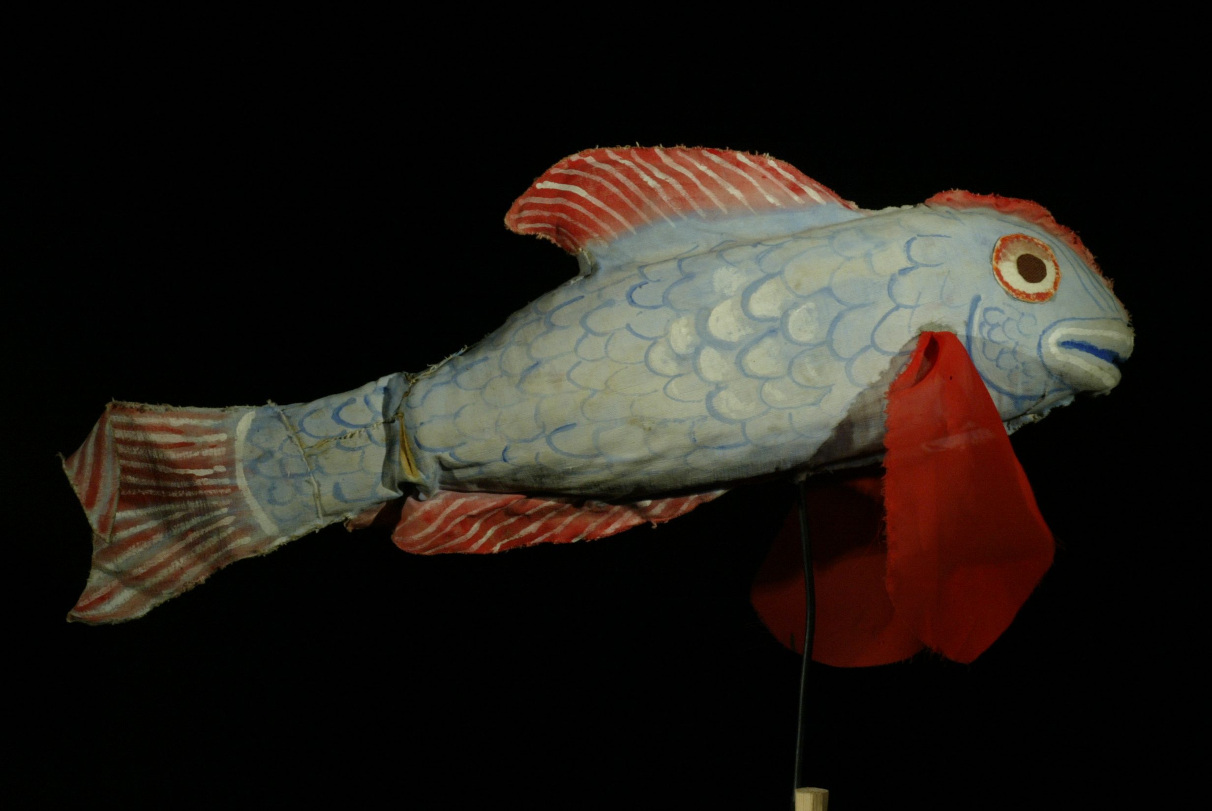 Le poisson